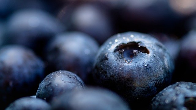 blueberries-g1325c4c3e_640